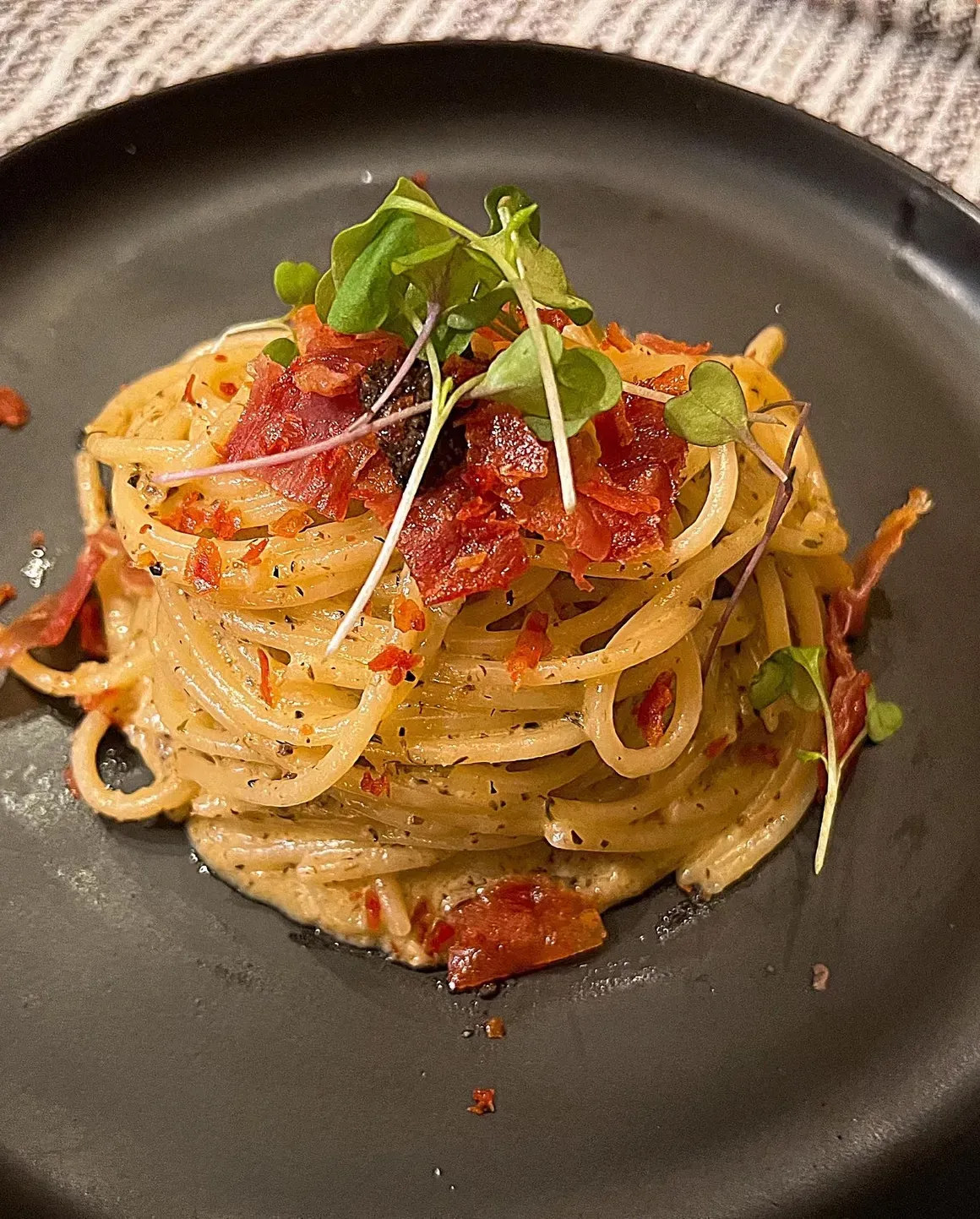 Plated travel dining dish